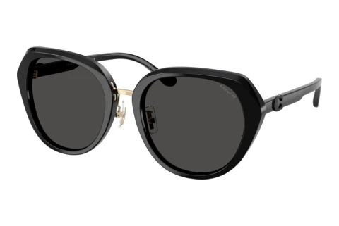 Sunglasses Coach CBY93 (HC8436 500287)