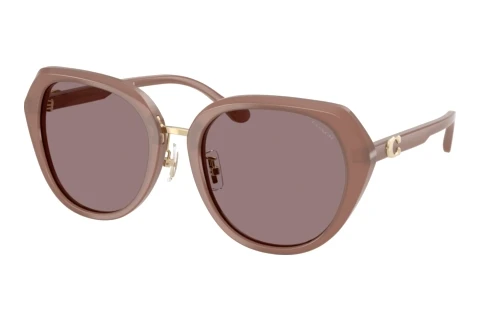 Sunglasses Coach CBY93 (HC8436 54957N)