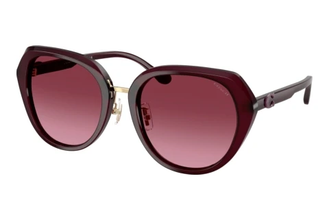 Sunglasses Coach CBY93 (HC8436 59158H)