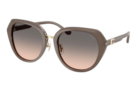 Sunglasses Coach CBY93 (HC8436 5917G9)