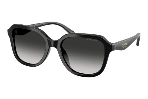 Sunglasses Coach CBY87 (HC8437U 50023C)