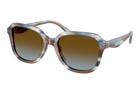 Sunglasses Coach CBY87 (HC8437U 589913)