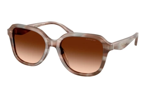Sunglasses Coach CBY87 (HC8437U 590174)