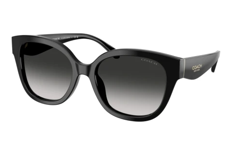 Sunglasses Coach CBY94 (HC8438U 500287)