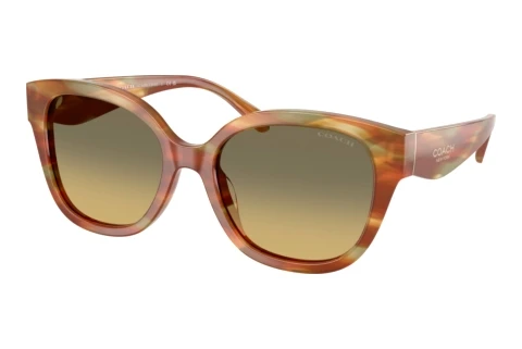 Sunglasses Coach CBY94 (HC8438U 5898L0)