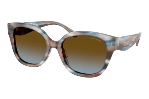 Sunglasses Coach CBY94 (HC8438U 589913)