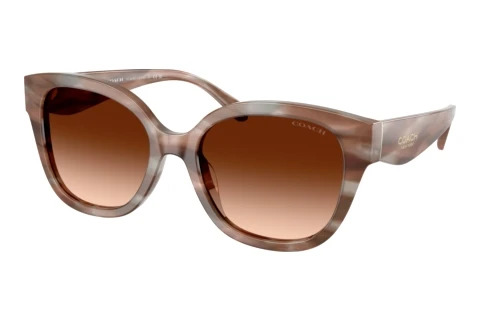 Sunglasses Coach CBY94 (HC8438U 590174)