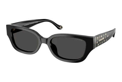 Sunglasses Coach CBZ52 (HC8439U 500287)