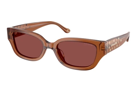 Sunglasses Coach CBZ52 (HC8439U 581175)