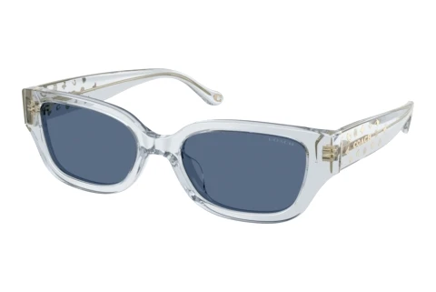 Sunglasses Coach CBZ52 (HC8439U 590480)