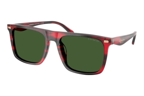 Sunglasses Coach CBY95 (HC8440U 590871)