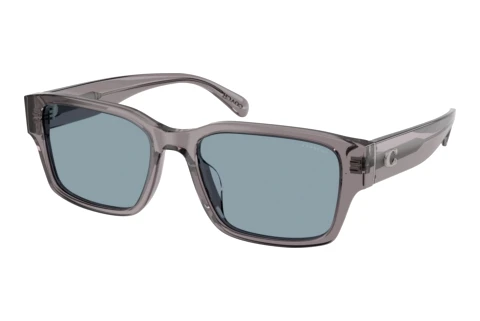 Sunglasses Coach CBY96 (HC8441U 553772)