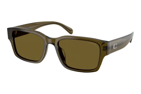 Sunglasses Coach CBY96 (HC8441U 591073)