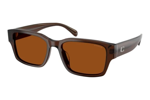 Sunglasses Coach CBY96 (HC8441U 591173)