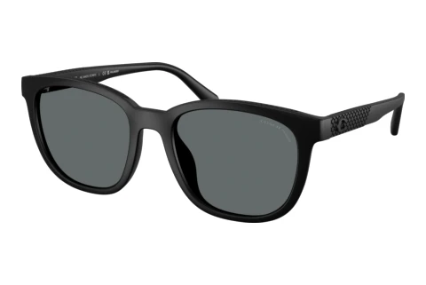 Sunglasses Coach CCA00 (HC8442U 500281)