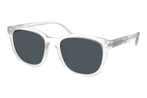 Sunglasses Coach CCA00 (HC8442U 511187)