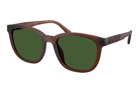 Sunglasses Coach CCA00 (HC8442U 591171)