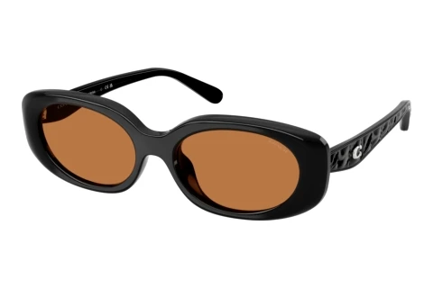 Sunglasses Coach CBY84 (HC8443D 500273)