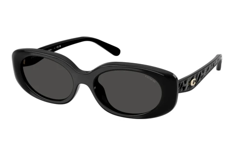 Sunglasses Coach CBY84 (HC8443D 500287)