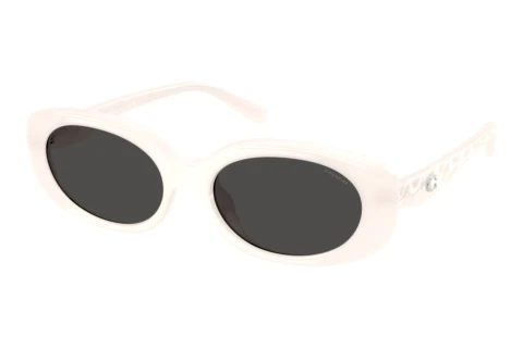Sunglasses Coach CBY84 (HC8443D 579087)