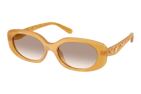 Sunglasses Coach CBY84 (HC8443D 591313)