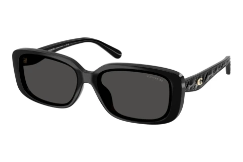 Sunglasses Coach CBY86 (HC8444D 500287)