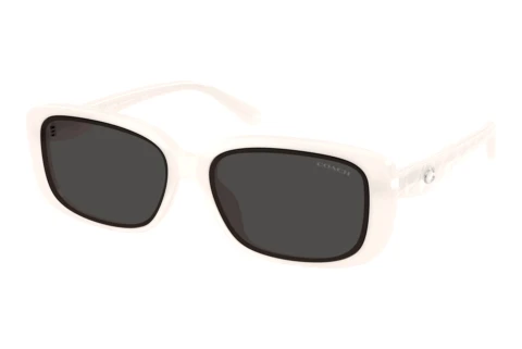 Sunglasses Coach CBY86 (HC8444D 579087)