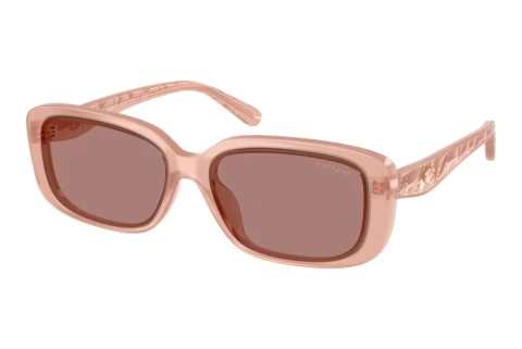 Sunglasses Coach CBY86 (HC8444D 591473)