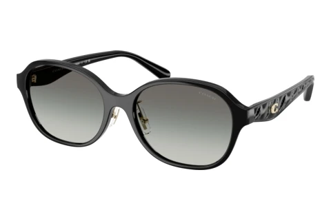 Sunglasses Coach CBY85 (HC8445D 500211)