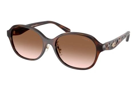 Sunglasses Coach CBY85 (HC8445D 512013)