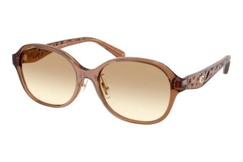 Sunglasses Coach CBY85 (HC8445D 565413)