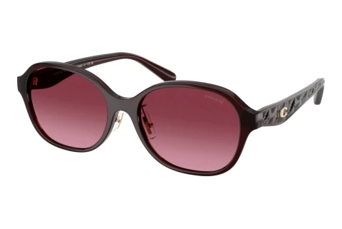 Sunglasses Coach CBY85 (HC8445D 59158H)