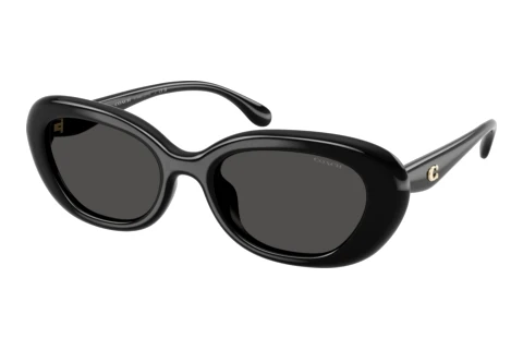 Sunglasses Coach CDP35 (HC8448U 500287)