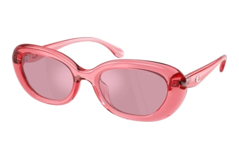 Sunglasses Coach CDP35 (HC8448U 592830)
