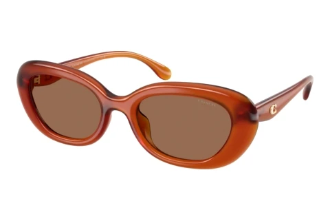 Sunglasses Coach CDP35 (HC8448U 593073)