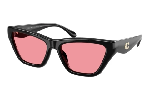 Sunglasses Coach CDP33 (HC8449U 500284)