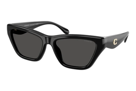 Sunglasses Coach CDP33 (HC8449U 500287)