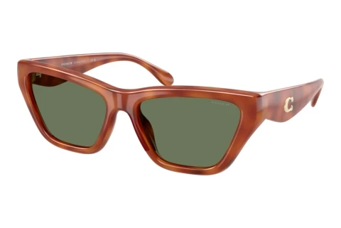 Sunglasses Coach CDP33 (HC8449U 577482)