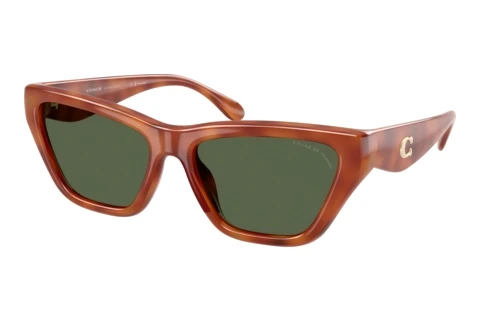 Sunglasses Coach CDP33 (HC8449U 57749A)