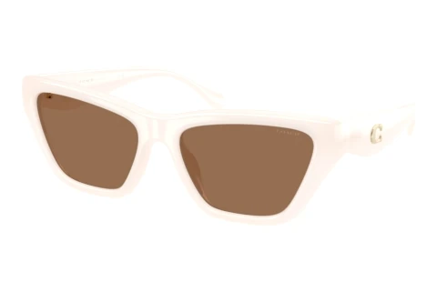 Sunglasses Coach CDP33 (HC8449U 579073)