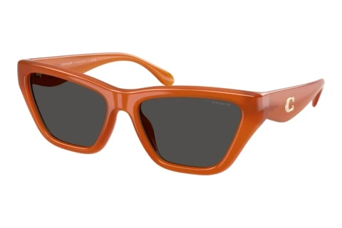 Sunglasses Coach CDP33 (HC8449U 593087)
