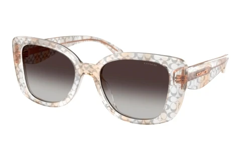 Sunglasses Coach CDP48 (HC8450U 59328G)