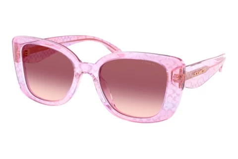 Sunglasses Coach CDP48 (HC8450U 59337W)