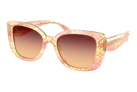 Sunglasses Coach CDP48 (HC8450U 5934W8)