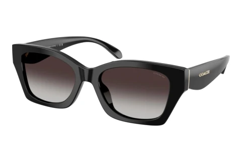 Sunglasses Coach CDP49 (HC8451U 50028G)