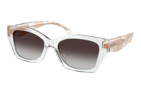 Sunglasses Coach CDP49 (HC8451U 59358G)
