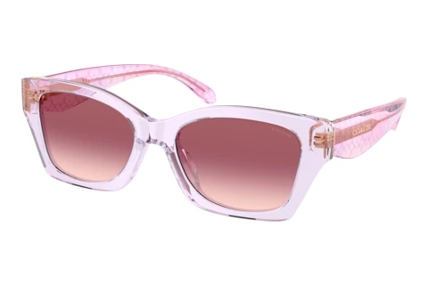 Sunglasses Coach CDP49 (HC8451U 59367W)