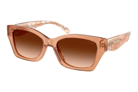 Sunglasses Coach CDP49 (HC8451U 593774)