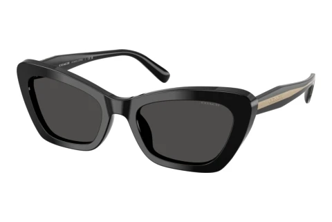 Sunglasses Coach CDP52 (HC8452U 500287)