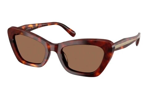 Sunglasses Coach CDP52 (HC8452U 593873)